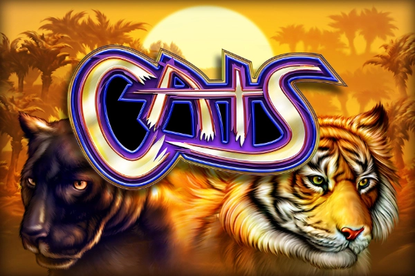Cats at Dieselwin